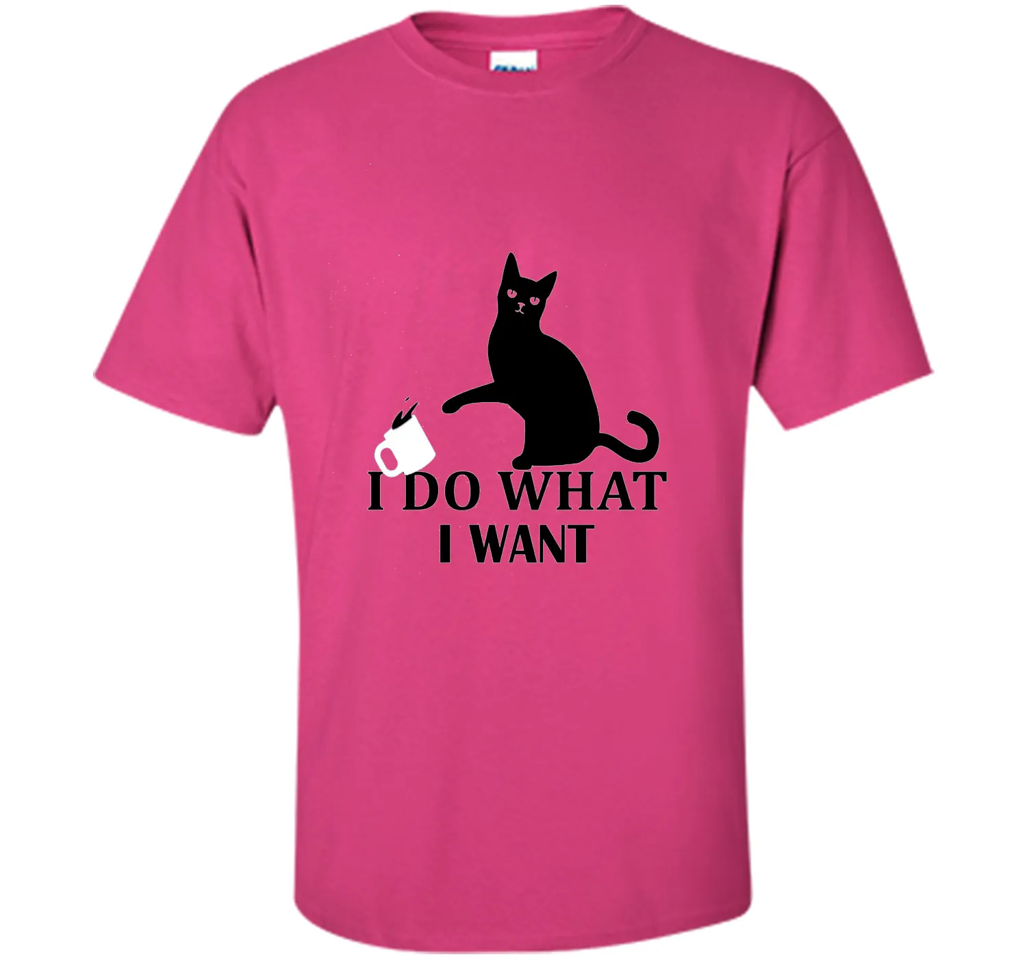 I Do What I Want | Funny Joke Cat Animal T-Shirt